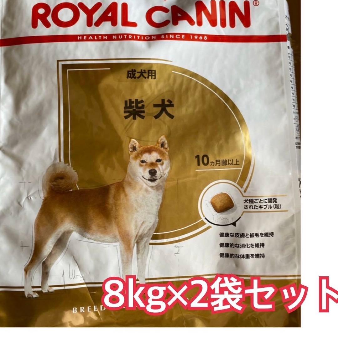 ロイヤルカナン　柴犬　成犬用　8kg×2袋セット