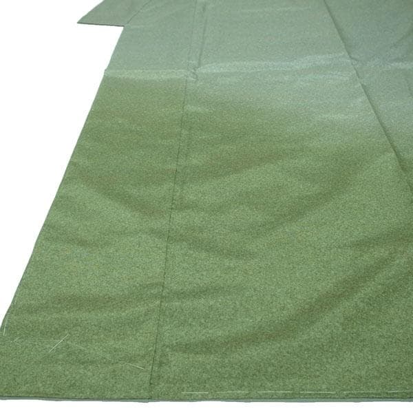 本場大島紬 染大島 訪問着 着物 袷 薄緑 裄66.5 Ｍ 新古品 sn1773