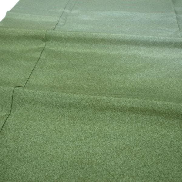 本場大島紬 染大島 訪問着 着物 袷 薄緑 裄66.5 Ｍ 新古品 sn1773