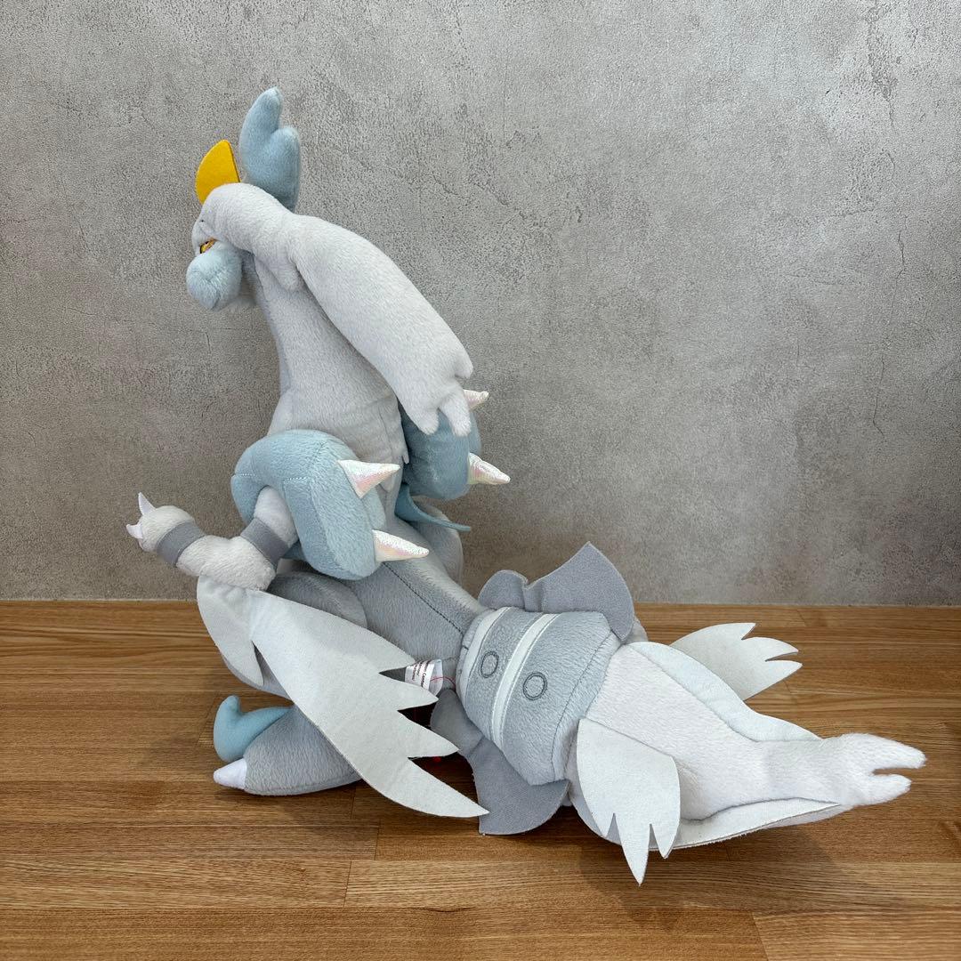 【一点もの/廃盤/2012年】ホワイトキュレム　ブラックキュレム　ポケドール