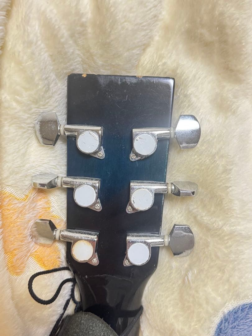 Makway アコースティックギター L-200 ブルー