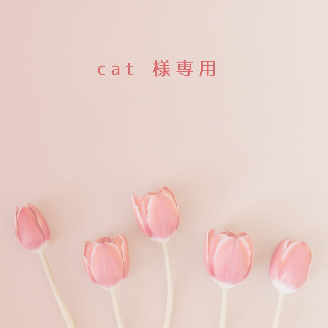 着せ替え服・アウトフィット cat