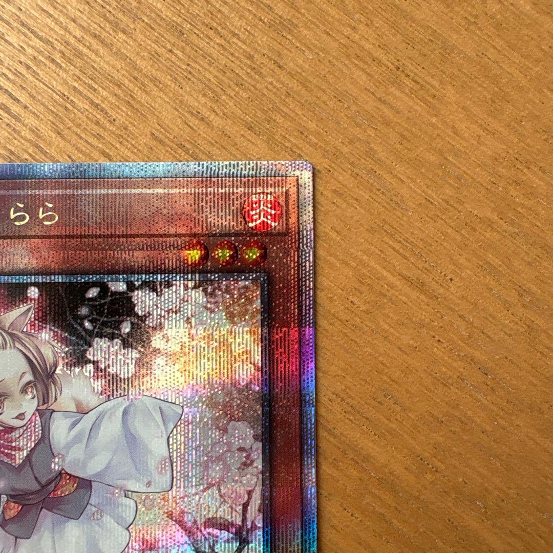 遊戯王 灰流うらら 25th