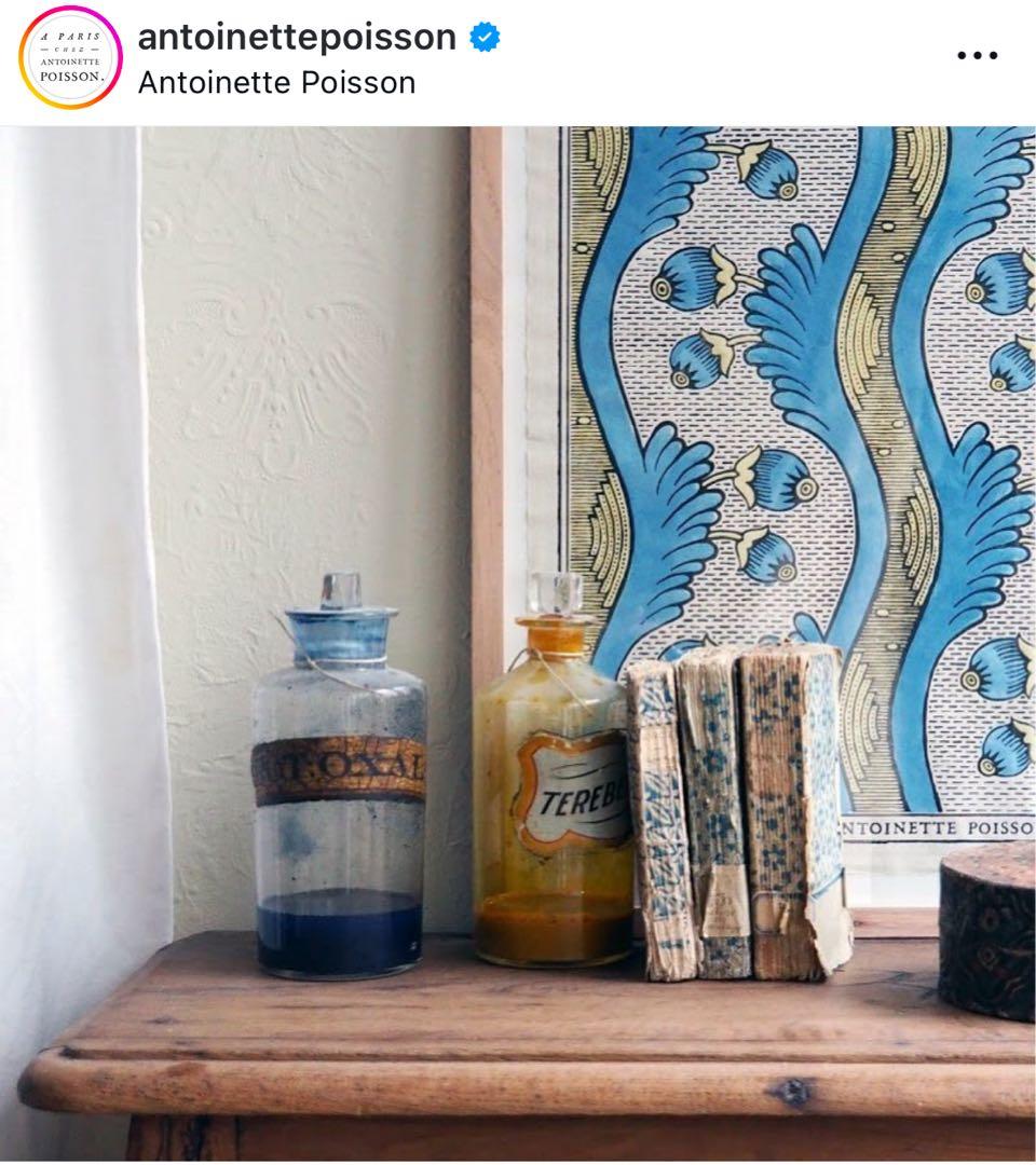 アントワネット・ポワソン　ドミノペーパー Grenades グレネード　額装