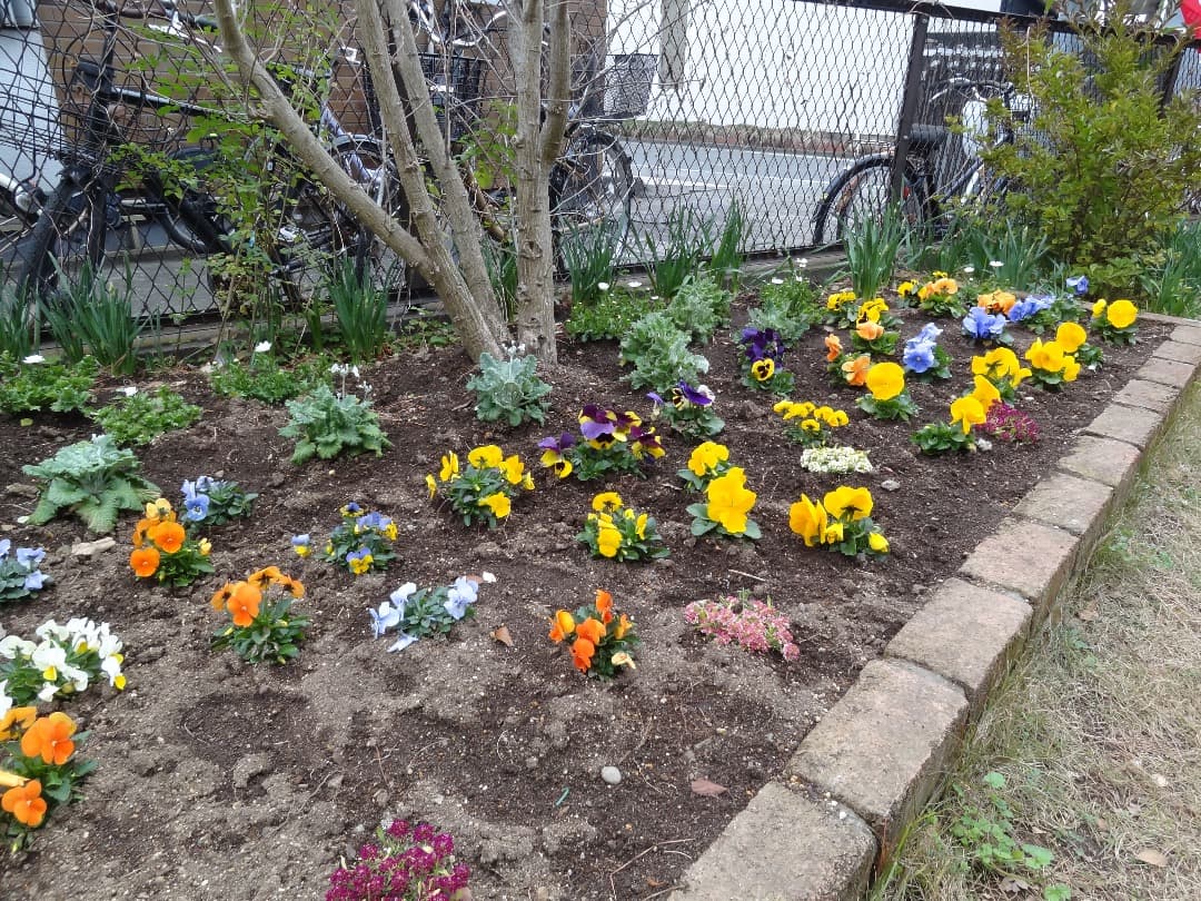 実写美⭕️【動作確認済み】Sony Cyber-shot DSC-HX7V 黒