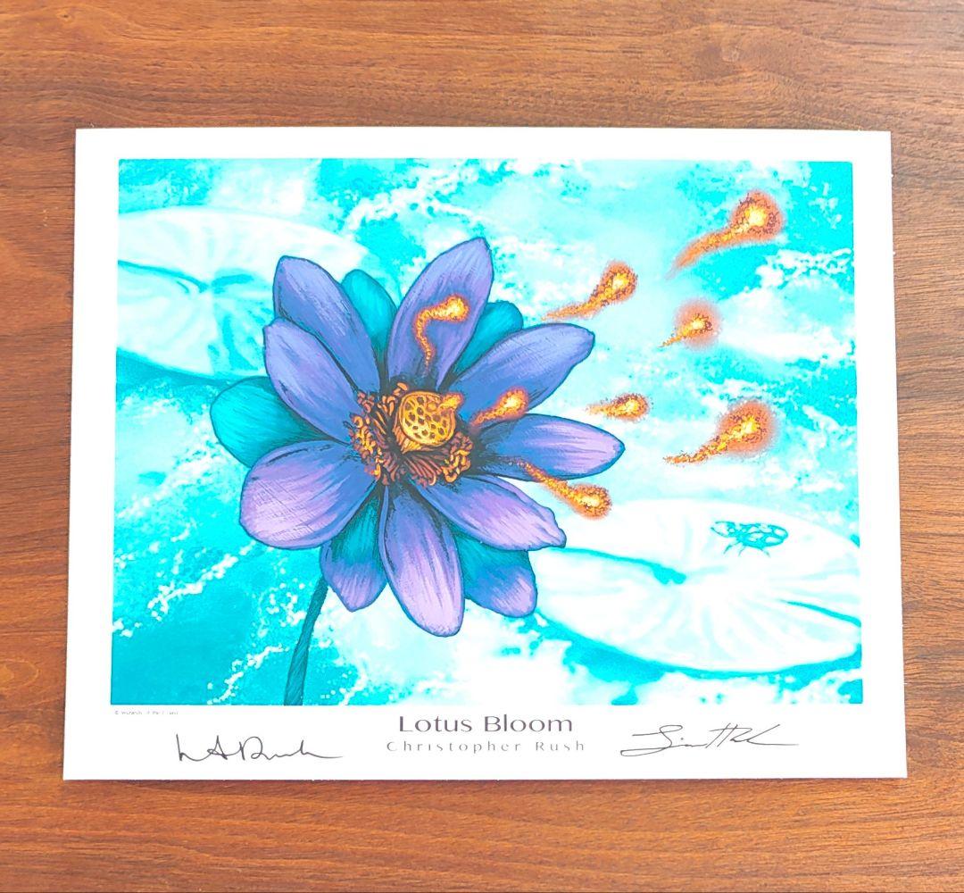 アートプリント　睡蓮の花　Lotus Bloom MTG　複製原画