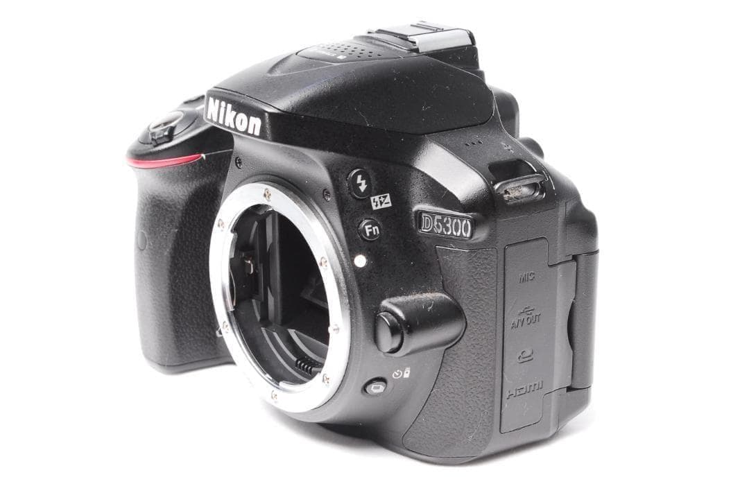 【新品級】Nikon D5300 Wレンズ Wi-Fi転送可能 初心者おススメ