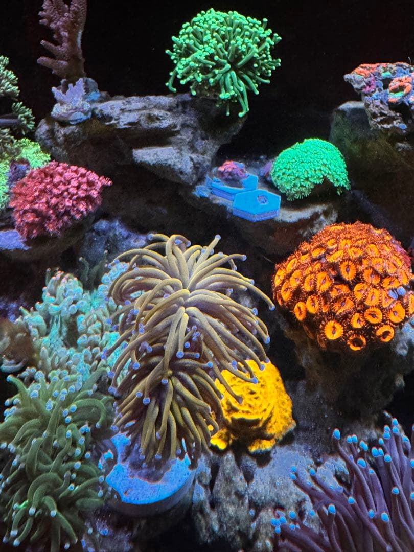 user_25eb376eページ