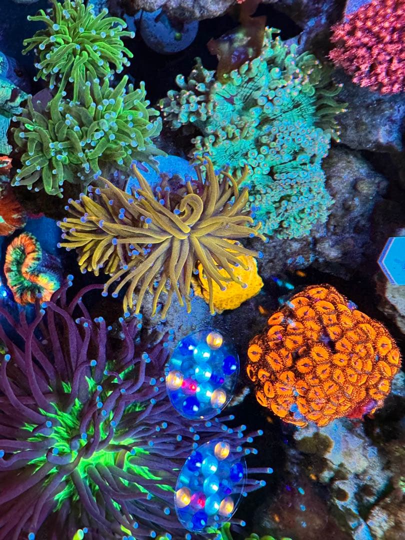 user_25eb376eページ