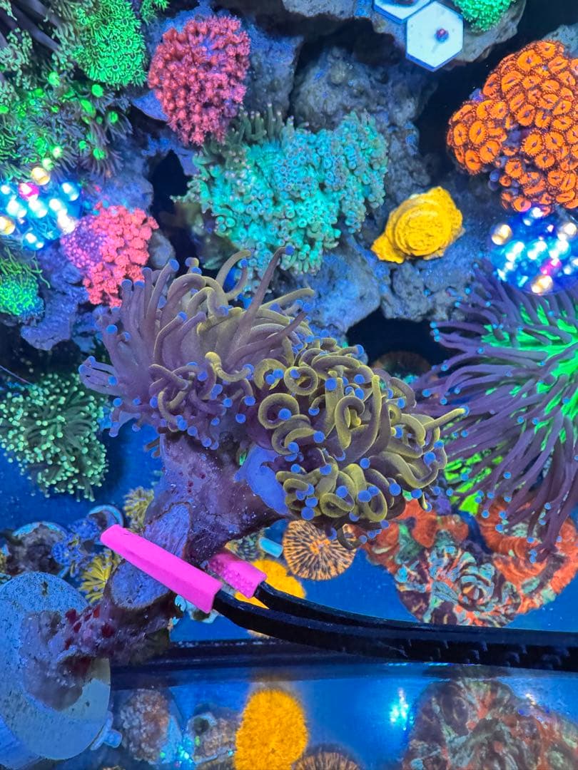 user_25eb376eページ