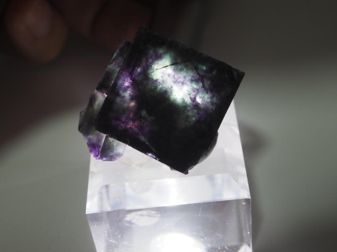 オコルス フローライト 蛍石 鉱物標本 449