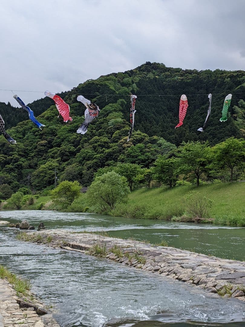 チチブ ε( ε ˘ω˘)スイー