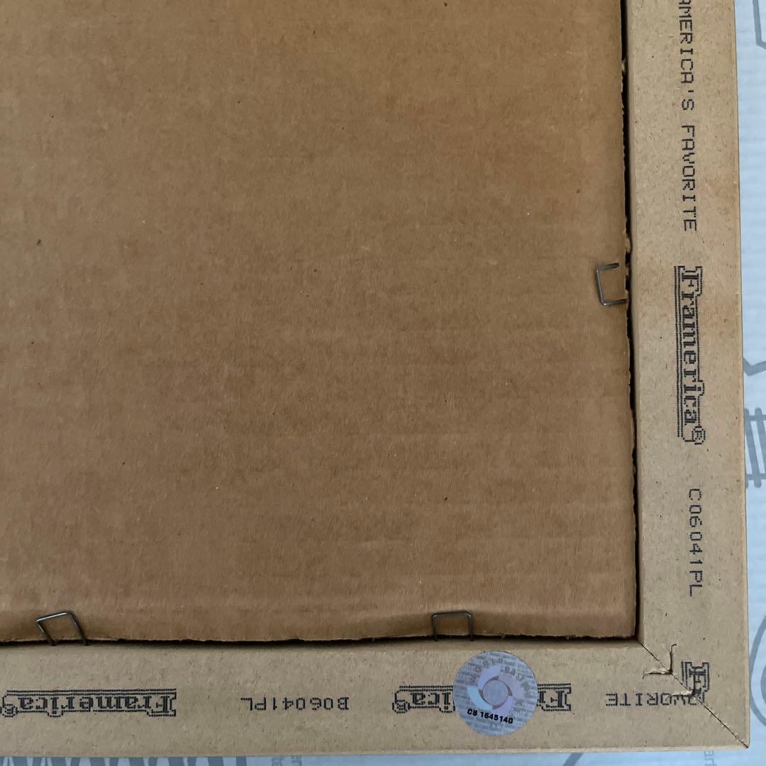 イチロー　2006年　WBC 優勝　ダブルフォト