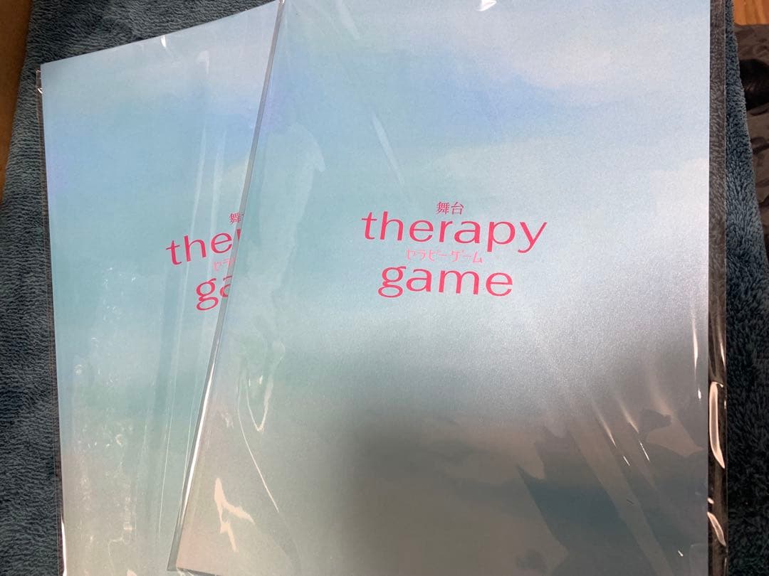 舞台　セラピーゲーム　パンフレット　2冊　セット