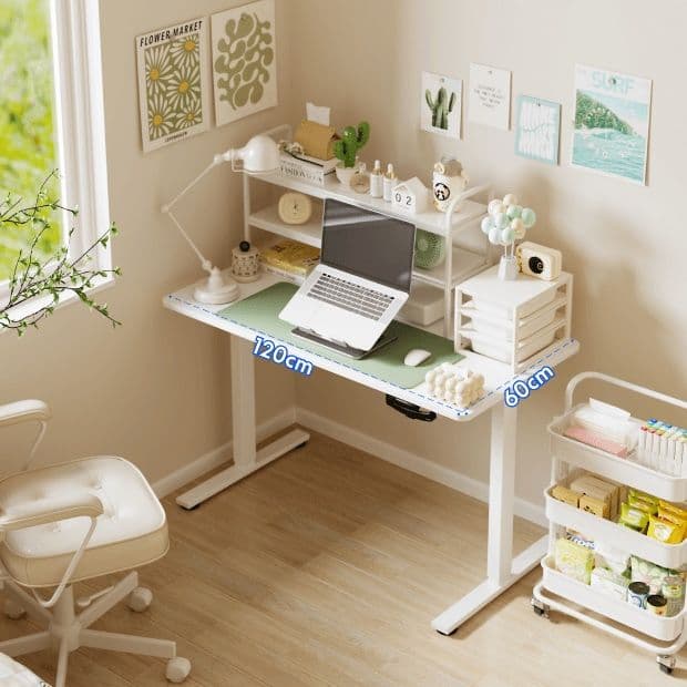 FlexiSpot H1 手動昇降式デスク