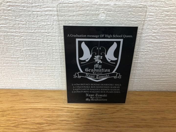 玉置成実　ライブツアースタッフ用　アクセスオールエリアパス