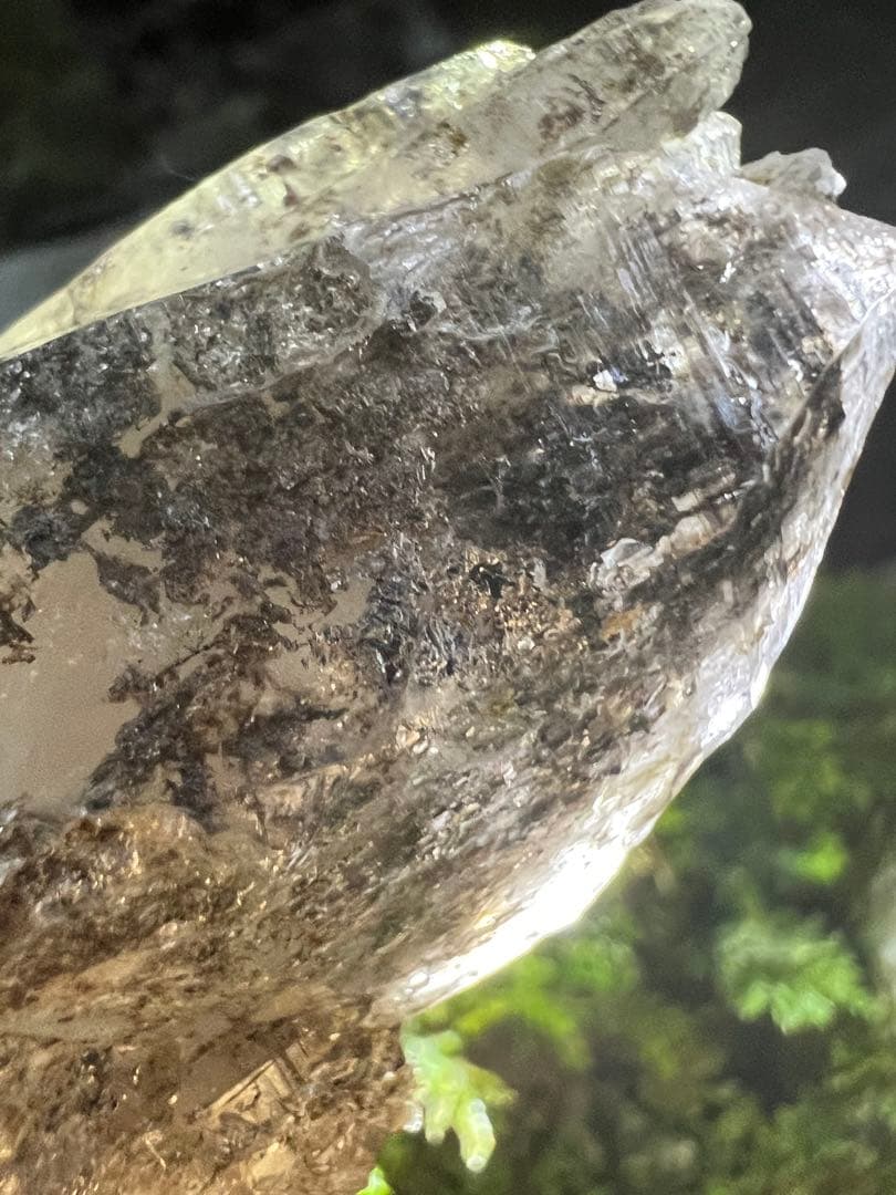 龍脈の精髄 ― ガーデンクォーツ & カテドラル（売上の一部は保護猫活動に使用）