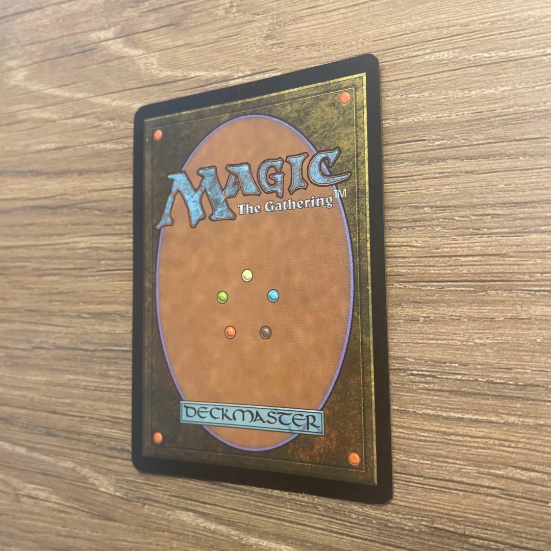 吹きさらしの荒野 / Windswept Heath ジャッジ褒賞 Foil