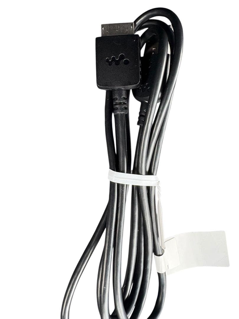 【美品】SONY WALKMAN NW-A55 16GB