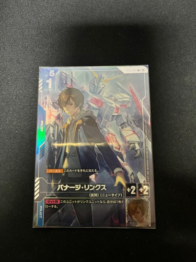 バナー・リンクス パラレル