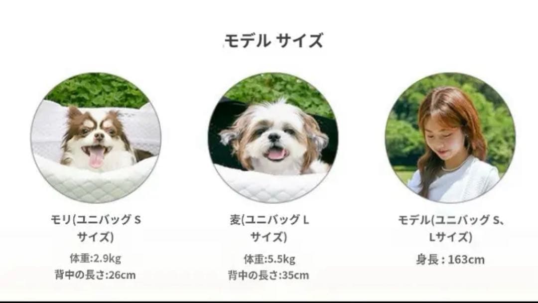 《TOMO》Uni Bag Cooling Cushion 《L・White》