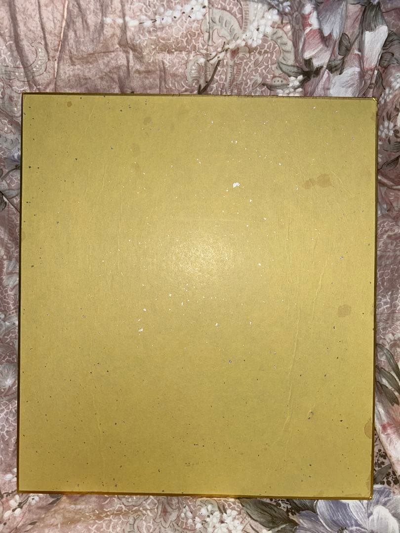 ドラゴンボール　野沢雅子さん　サイン色紙