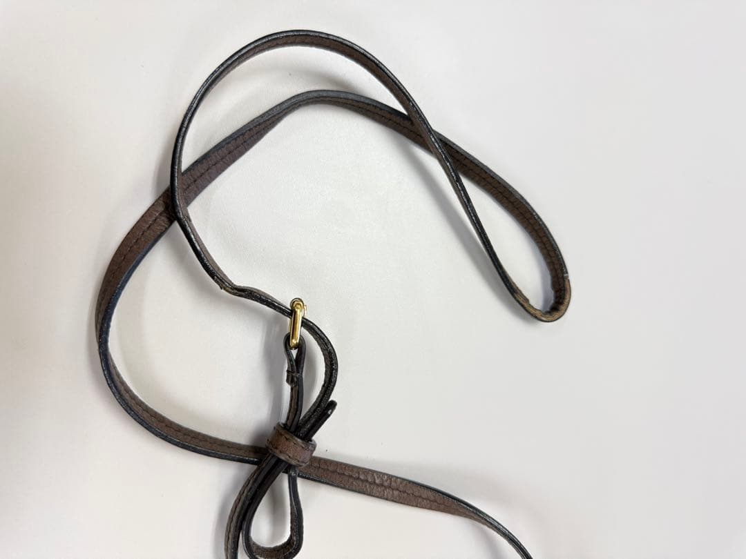 Gucci iPhone12ケース ショルダーストラップ付き