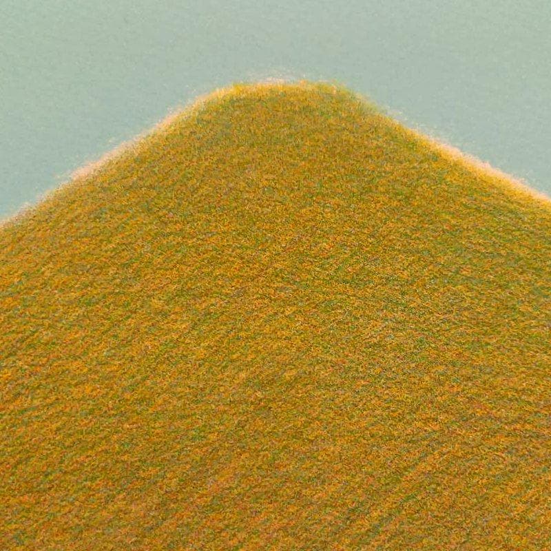 ハナ！☆府川 誠☆「穂・秋」 リトグラフ　 全紙サイズ ！