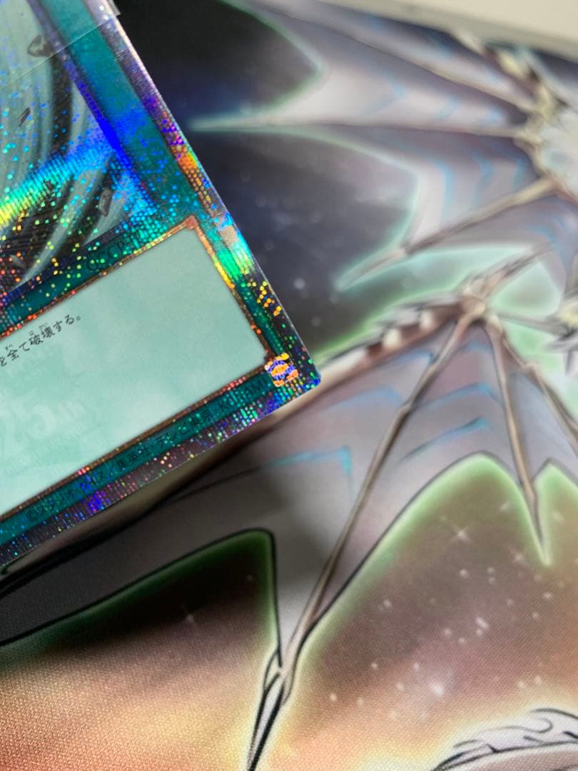 ハーピィの羽根箒　25th 絵違い