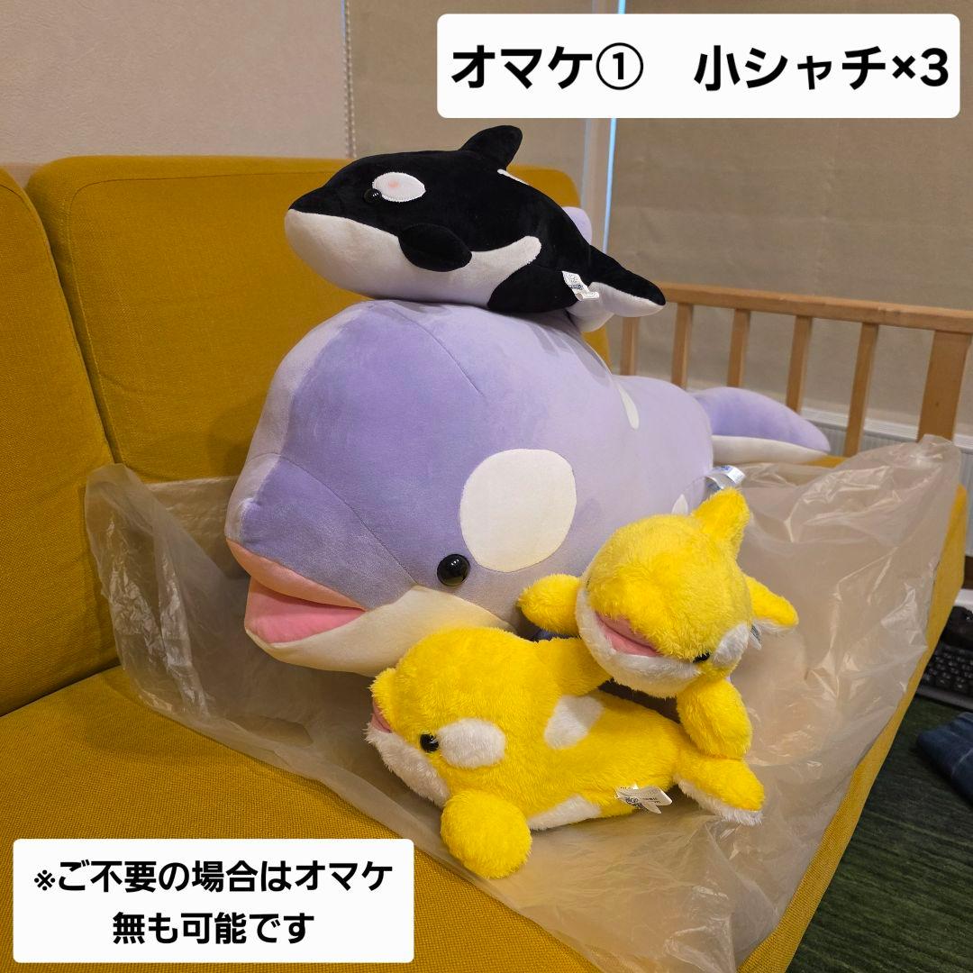 神戸須摩シーワールド　オルカくじ　１等　シャチ　ぬいぐるみ　ラベンダー　オマケ付