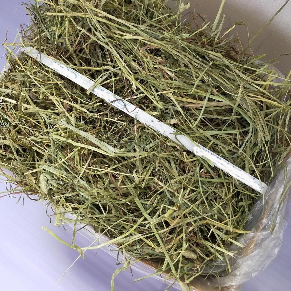 【1/14まで】 US産 チモシー 50kg ２番刈り ソフトSプレミアム