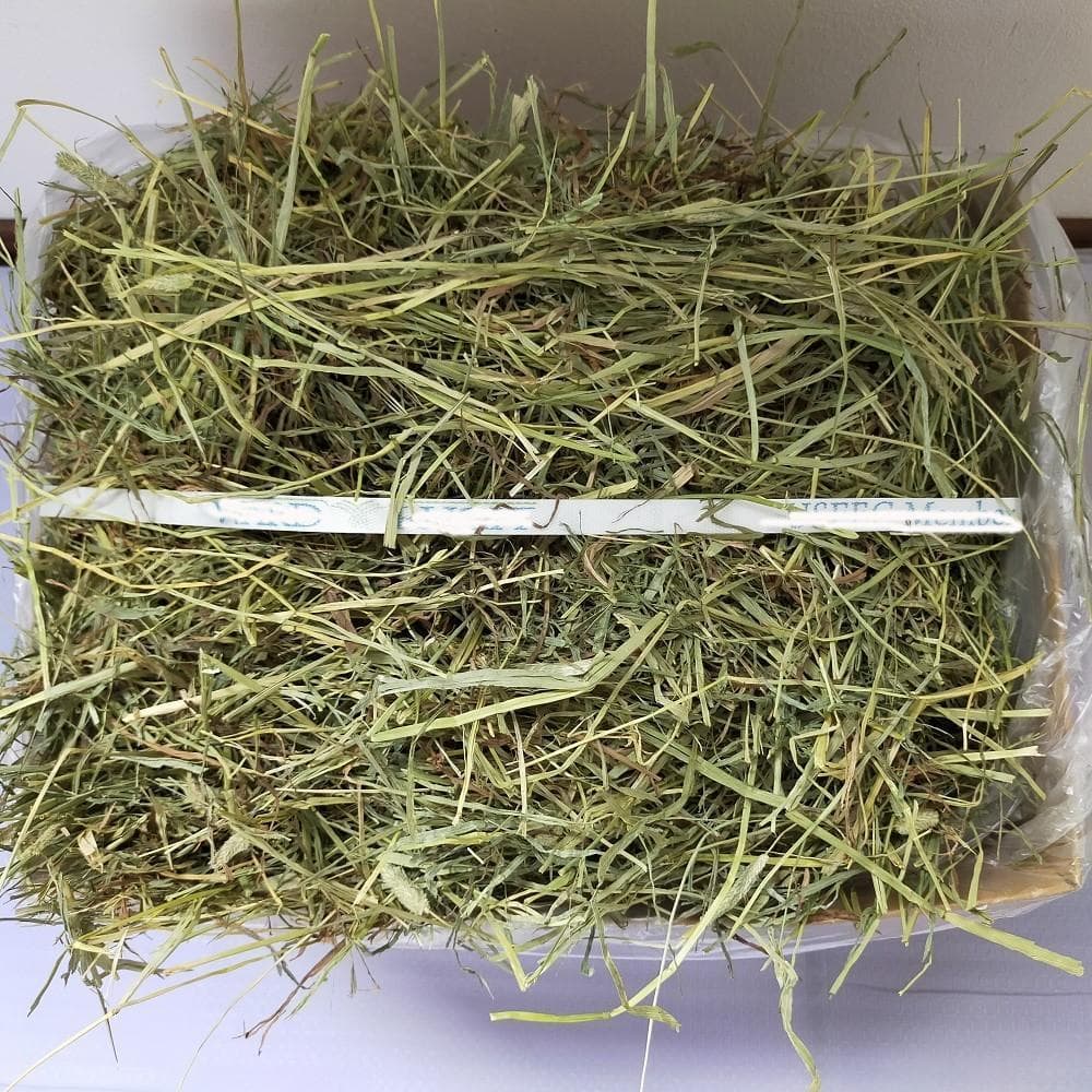 【1/14まで】 US産 チモシー 50kg ２番刈り ソフトSプレミアム