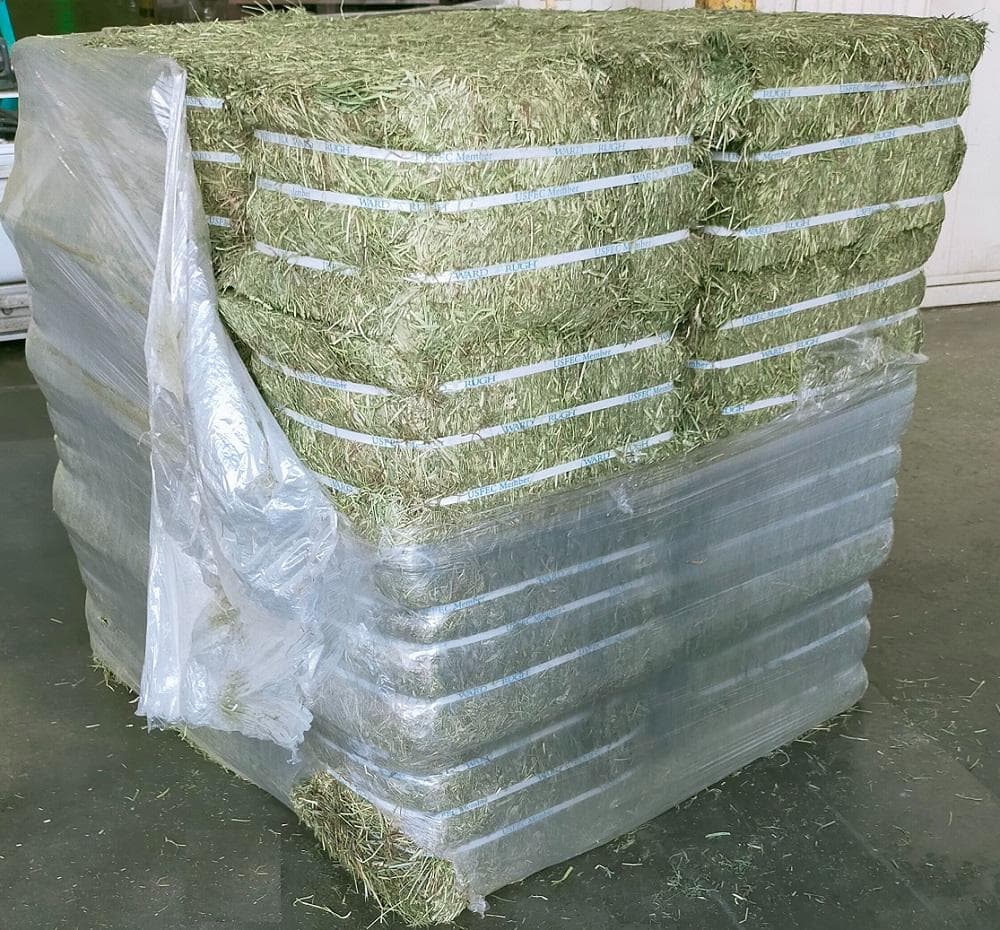 【1/14まで】 US産 チモシー 50kg ２番刈り ソフトSプレミアム