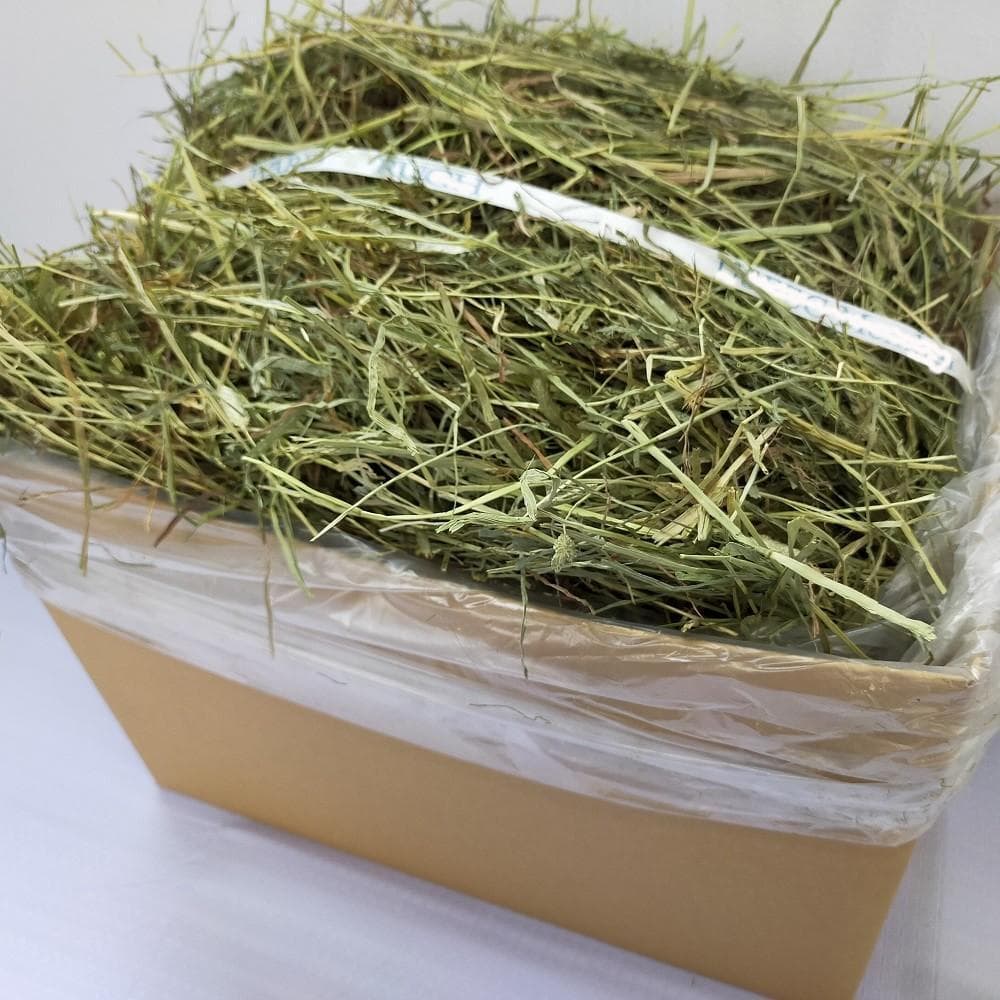 【1/14まで】 US産 チモシー 50kg ２番刈り ソフトSプレミアム