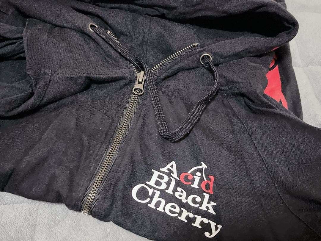 【美品】 Acid Black Cherry セットアップ パーカー サルエル