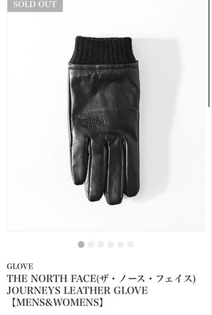 小物 THE NORTH FACE JOURNEYS LEATHER GLOVE