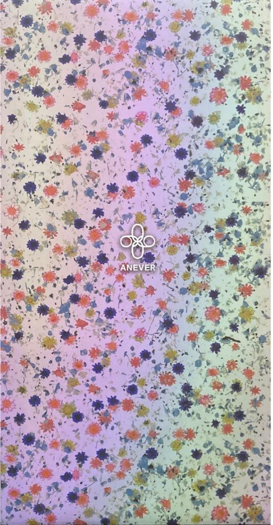 ベアブリックANEVER 1000%