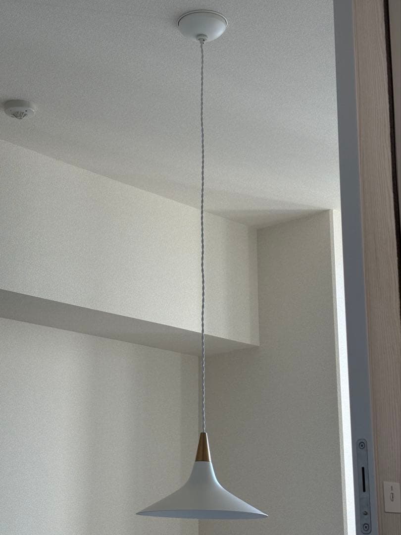 ARTWORKSTUDIO アートワークスタジオ ペンダントライト ③