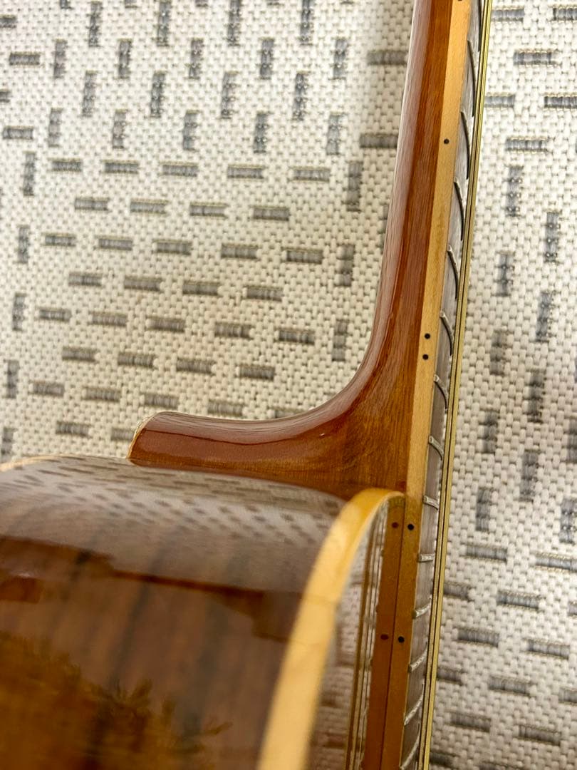 GREG BENNETT design SAMICHエレアコ(OM-15CE)