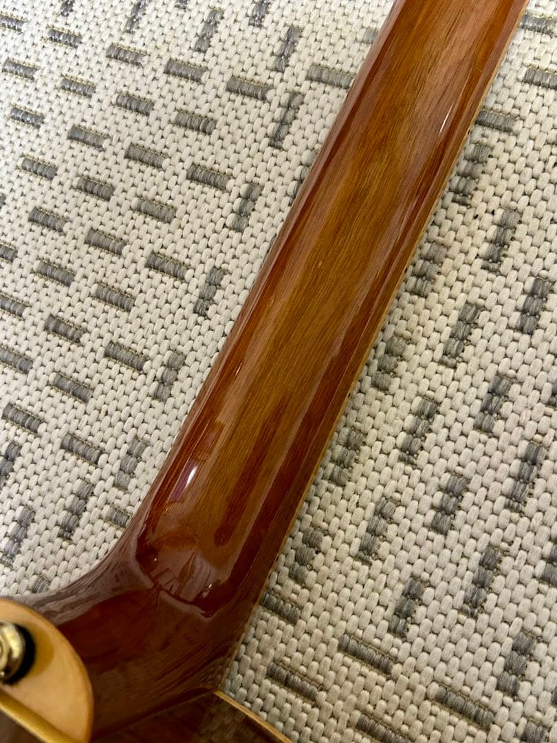 GREG BENNETT design SAMICHエレアコ(OM-15CE)