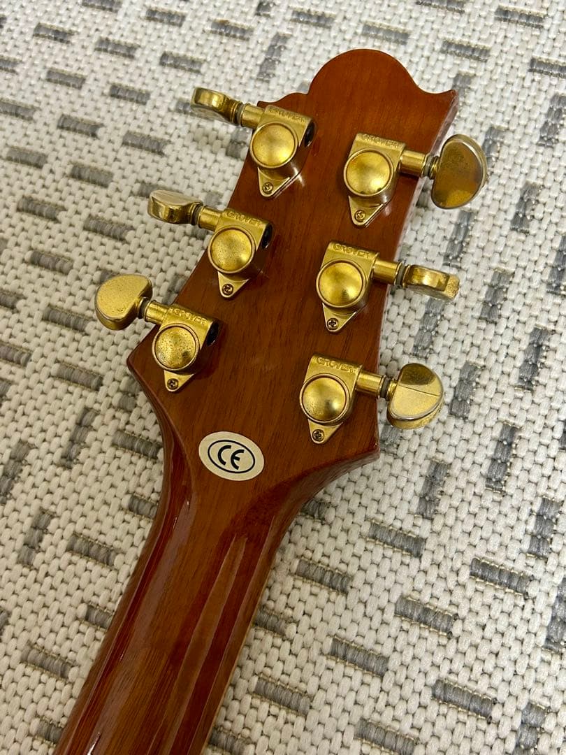 GREG BENNETT design SAMICHエレアコ(OM-15CE)