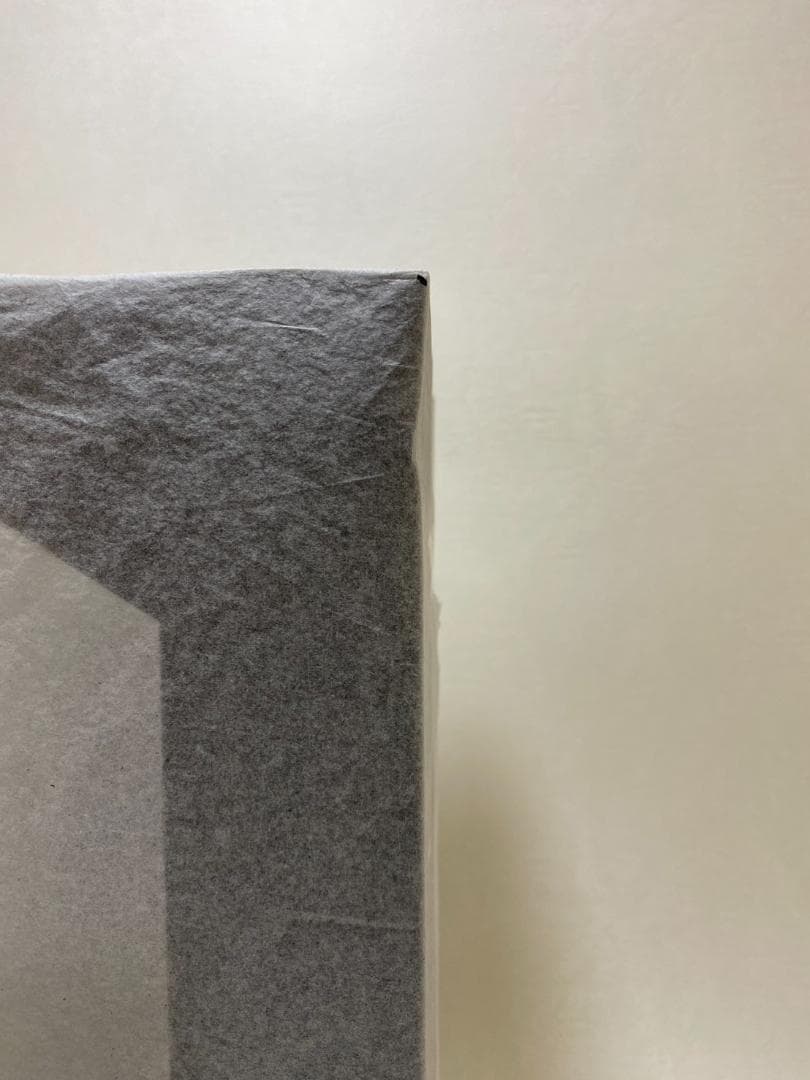 【未開封】Fate/Grand Order　謎のヒロインＸ [オルタ]