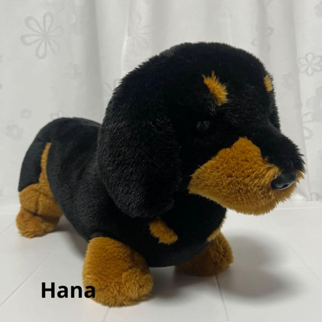 激レア⁉︎ Animal Alley ダックスフンド ぬいぐるみ 黒 インテリア