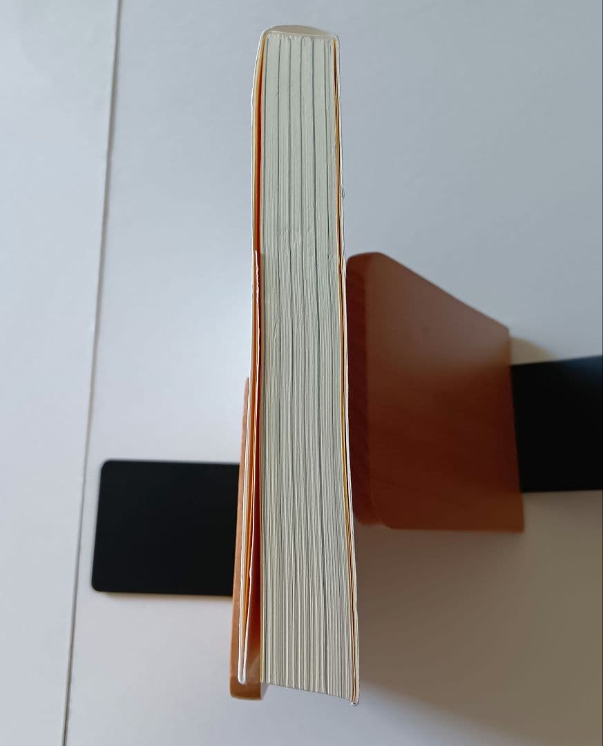 「成功曲線」を描こう。夢をかなえる仕事のヒント　 石原 明