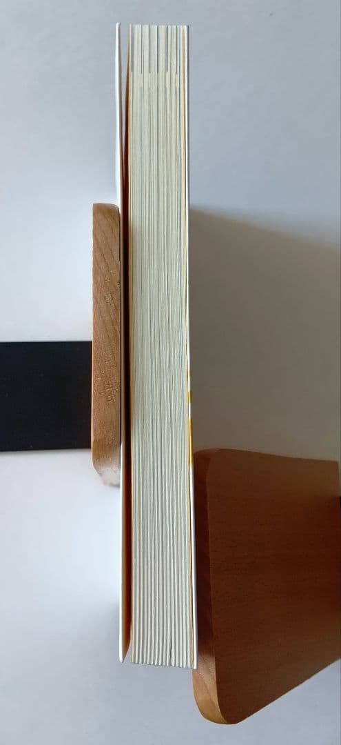 「成功曲線」を描こう。夢をかなえる仕事のヒント　 石原 明