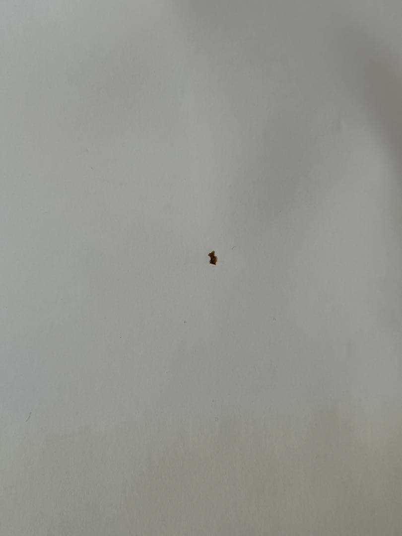 ラン・ローラ・ラン　USオリジナル映画ポスター