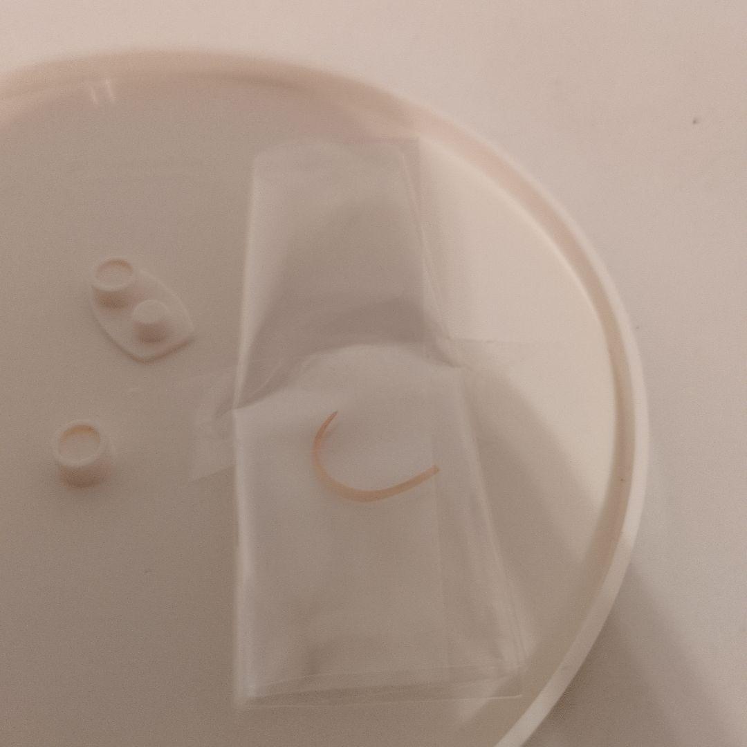 Fate/stay night セイバー 10thロイヤルドレスver fgo