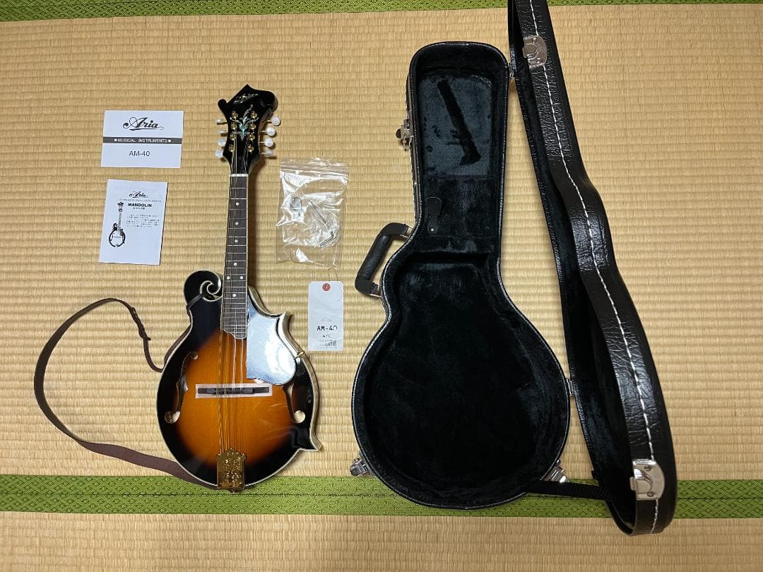 ★ARIA AM-40 フラットマンドリン　★ストラップ付