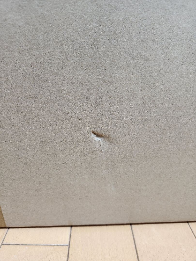 渋谷スクランブルフィギュア 青春ブタ野郎 牧之原翔子 江ノ島Ver.