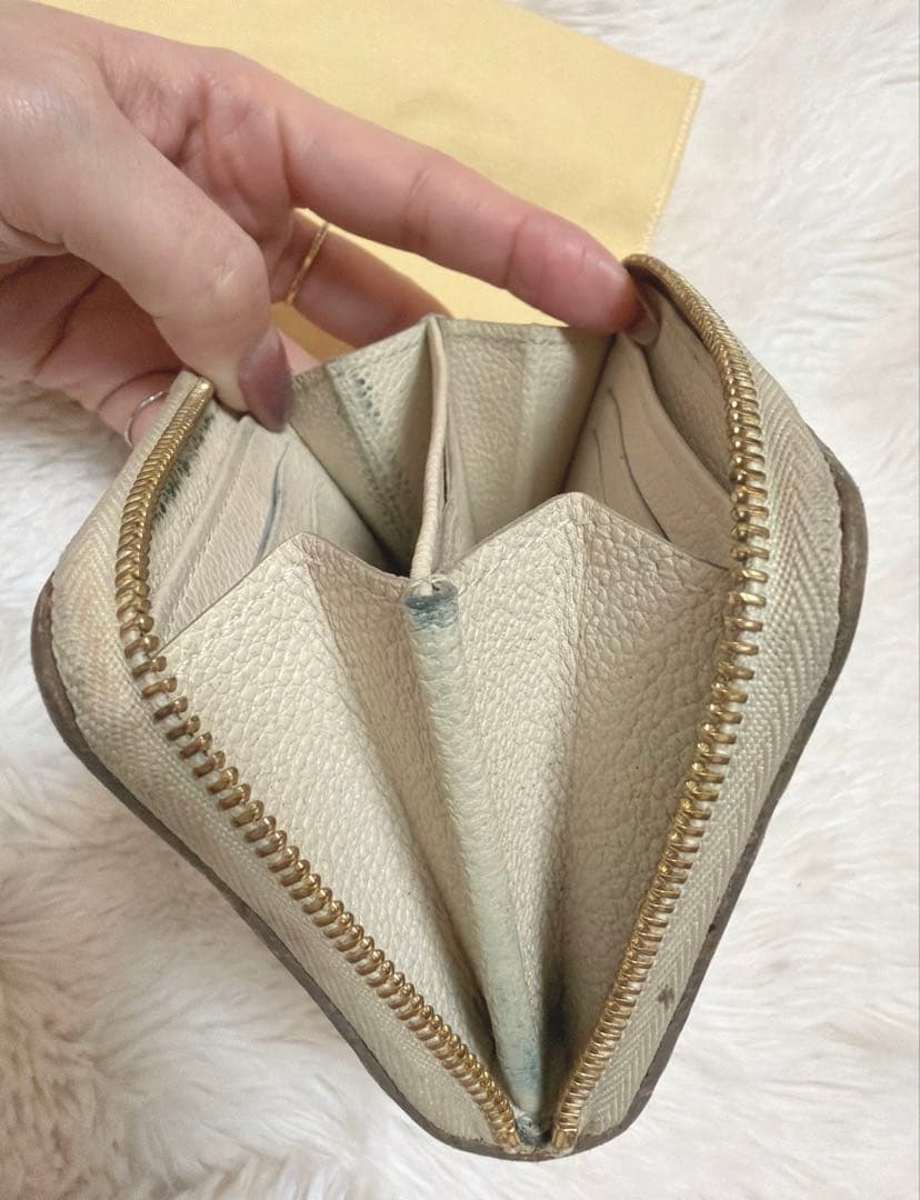 LOUIS VUITTON アンプラント　ケース